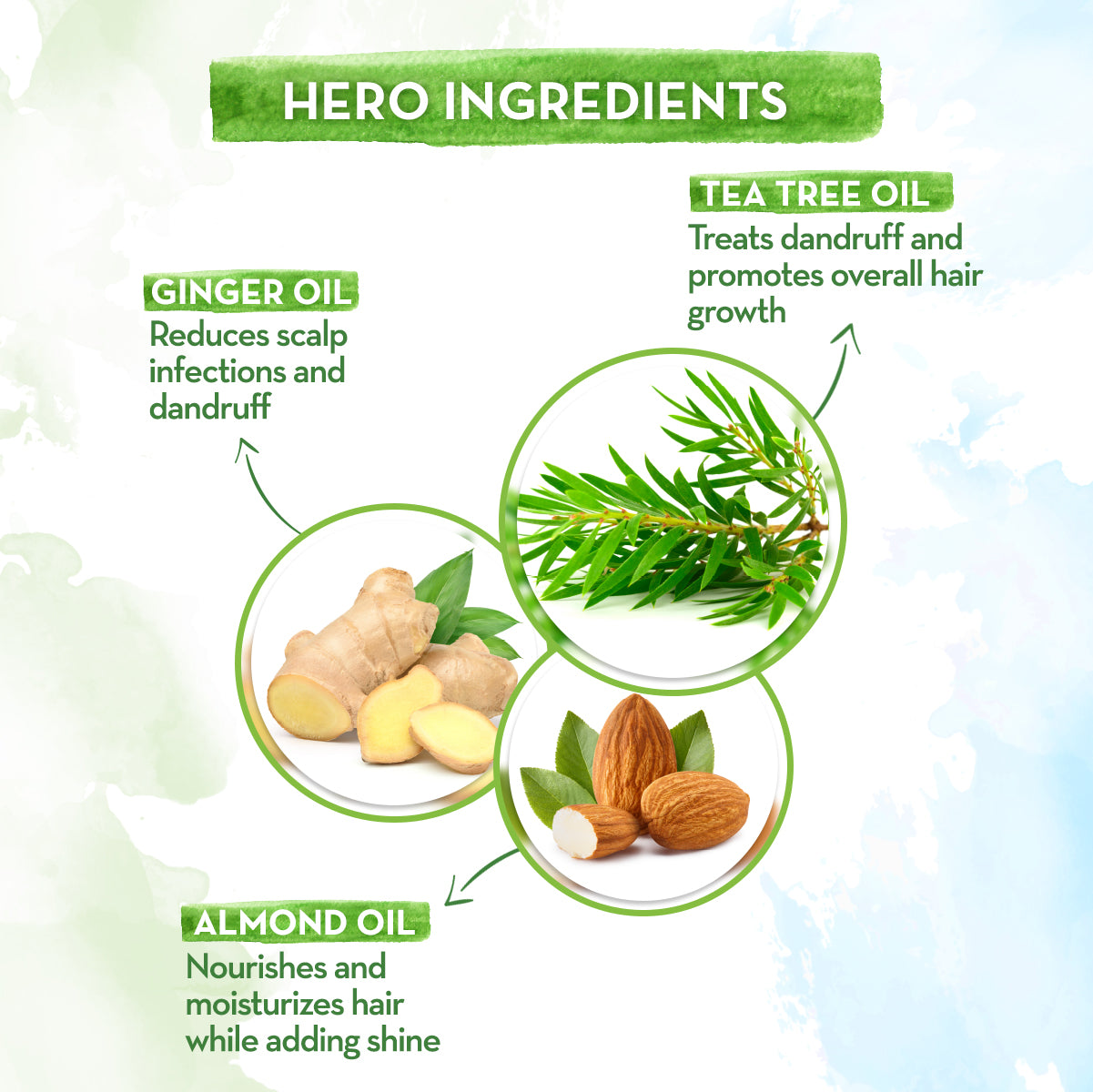 Tea Tree Conditioner key ingredients
