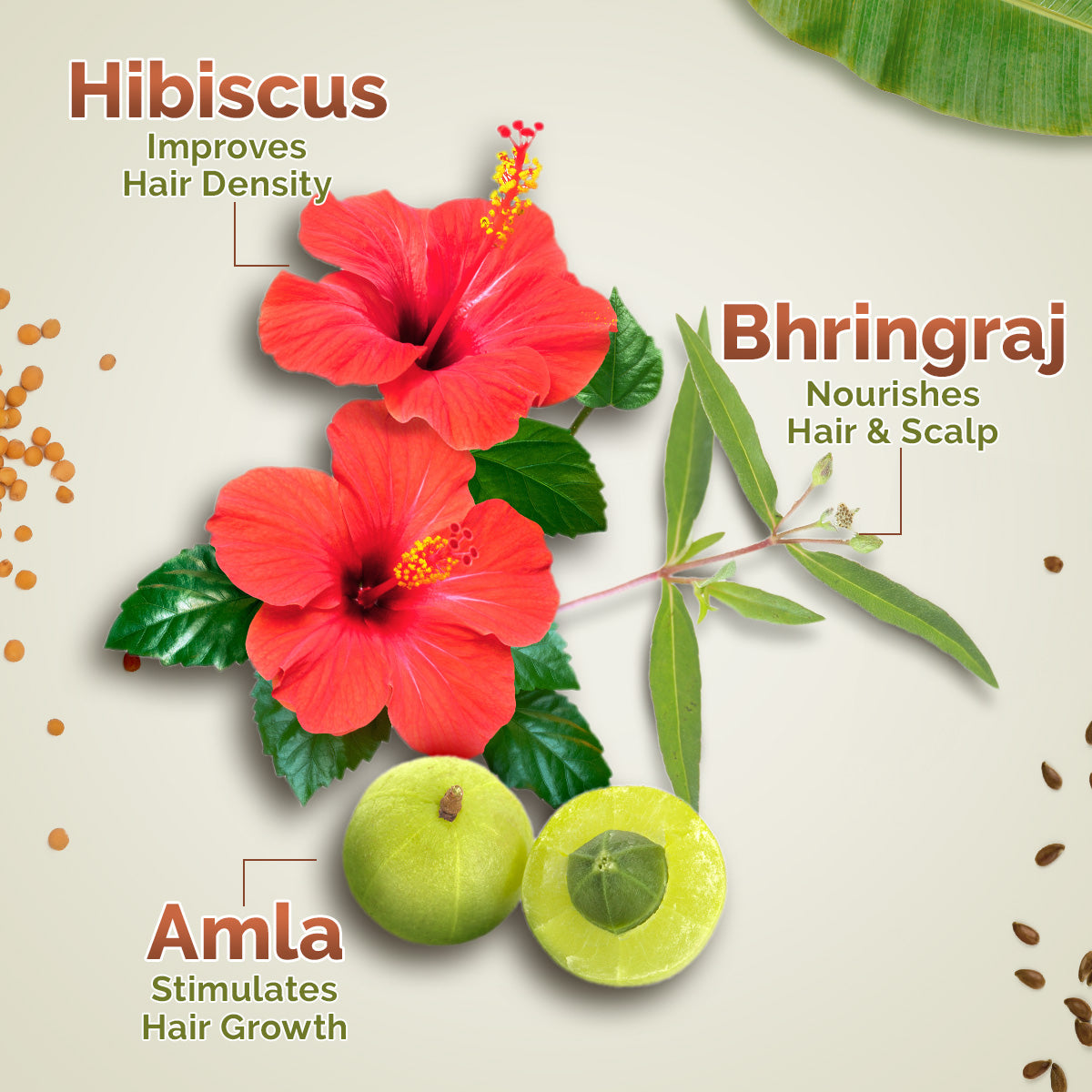 Kerala Thaali Hair Oil