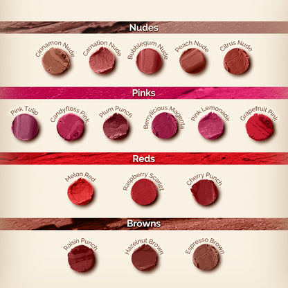 Moisture Matte Longstay Lipstick -16 Hazelnut Brown