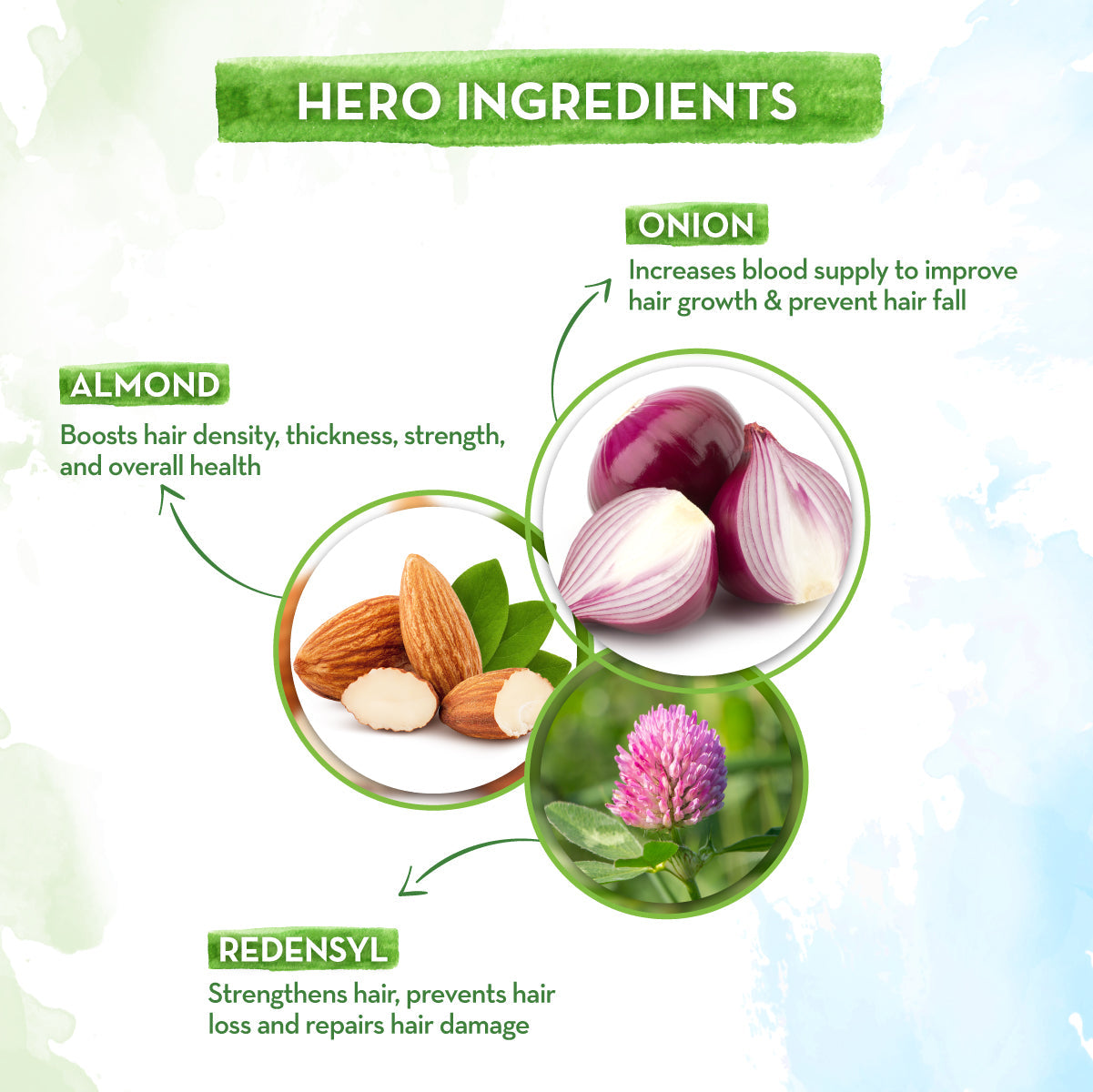 mamaearth onion oil ingredients