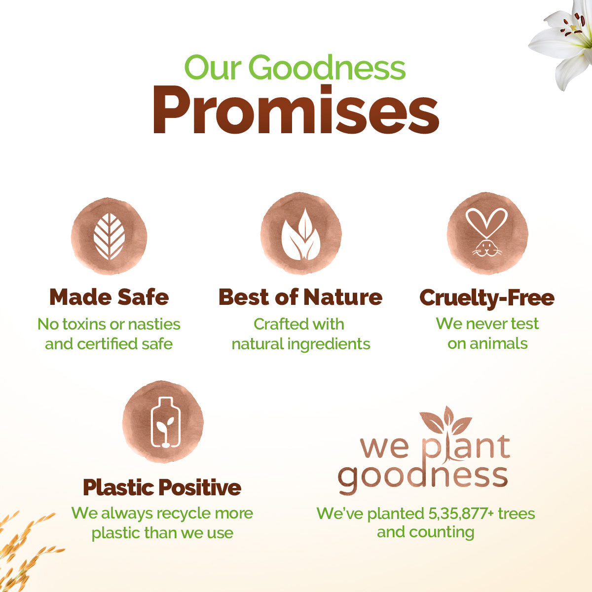 Rice Water Moisturizing Body Wash