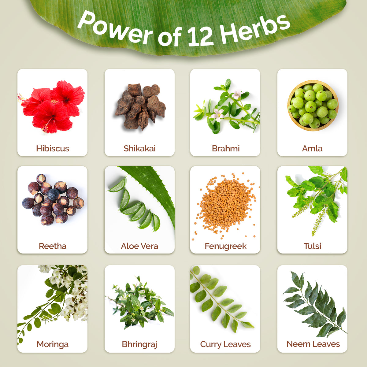 Kerala Thaali Hair Oil