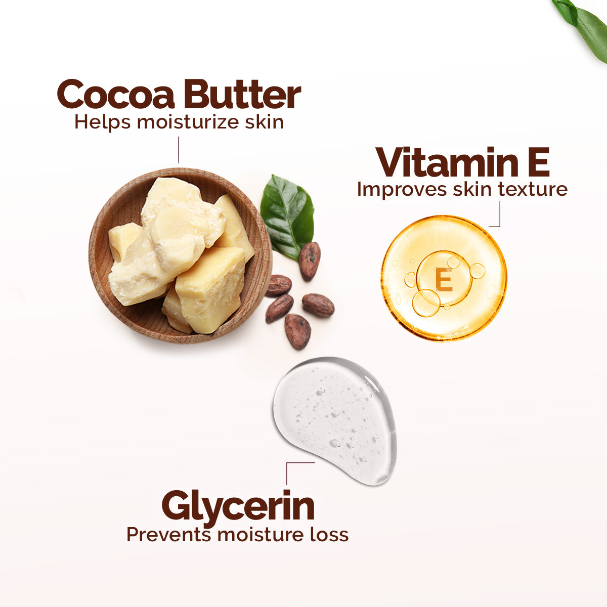 Cocoa Rich Moisturizing Cream