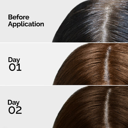 henna mehndi for hair