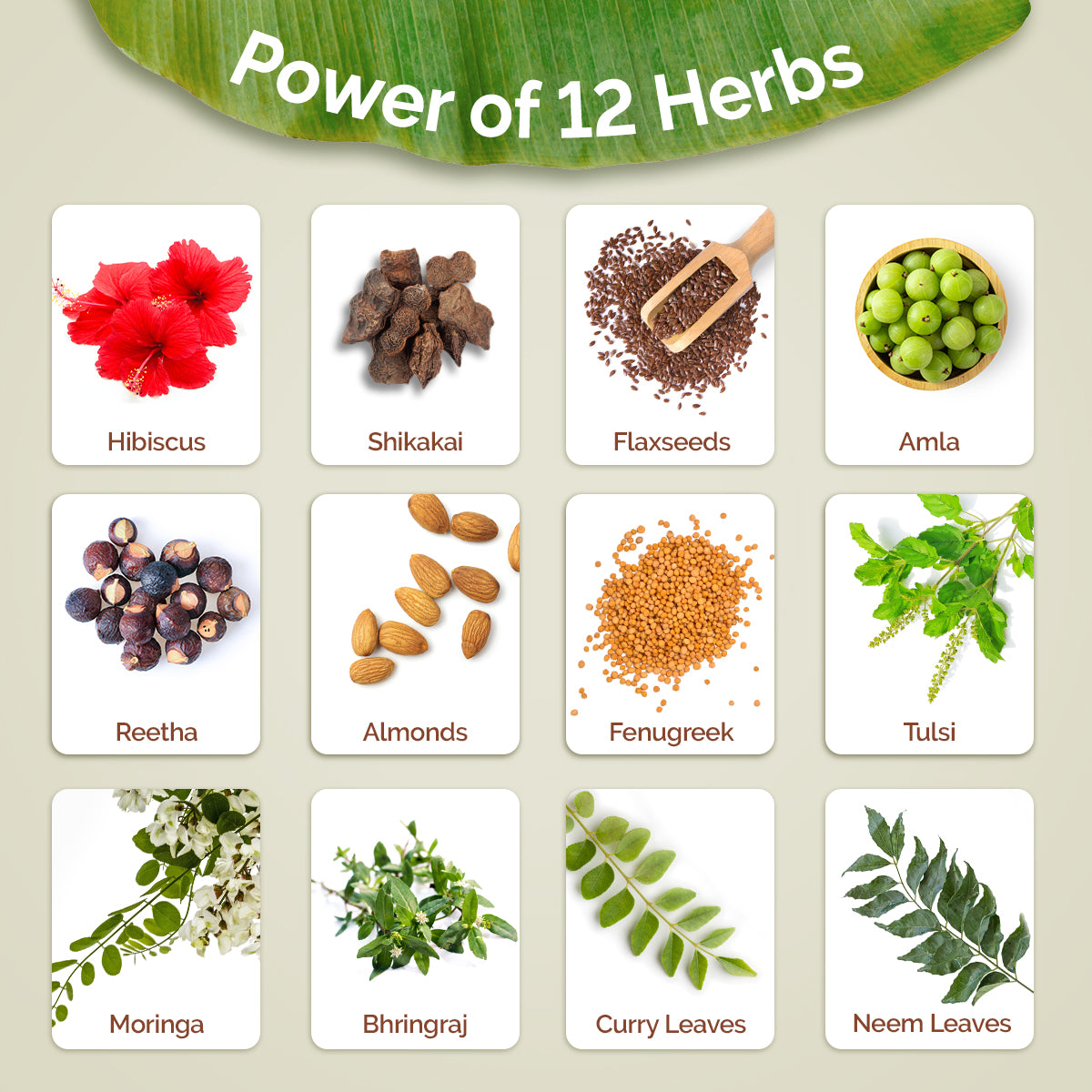 Kerala Thaali Conditioner