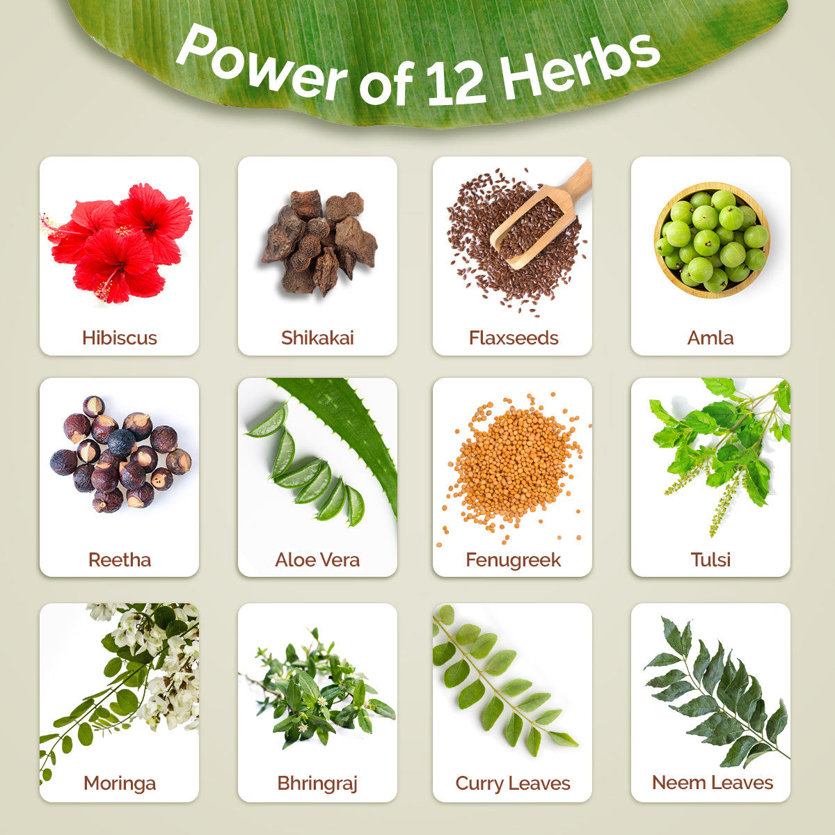 Kerala Thaali Shampoo