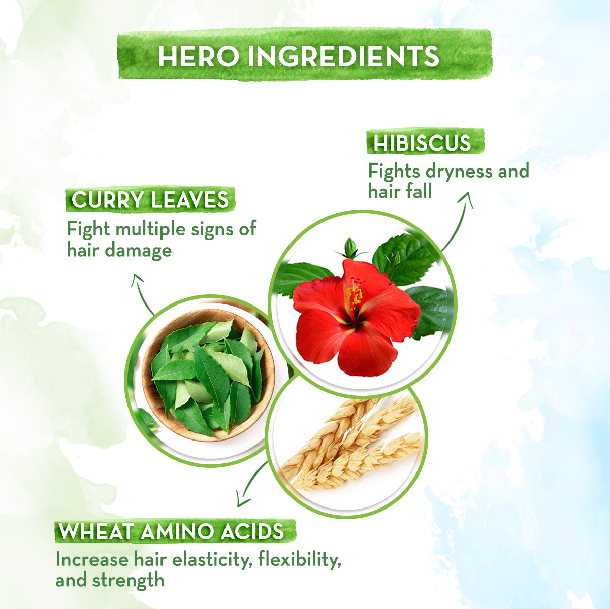 hibiscus shampoo, damage repair shampoo, hibiscus shampoo benefits