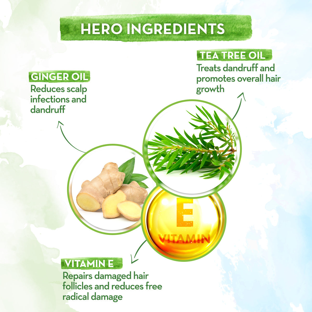 mamaearth tea tree shampoo key ingredients