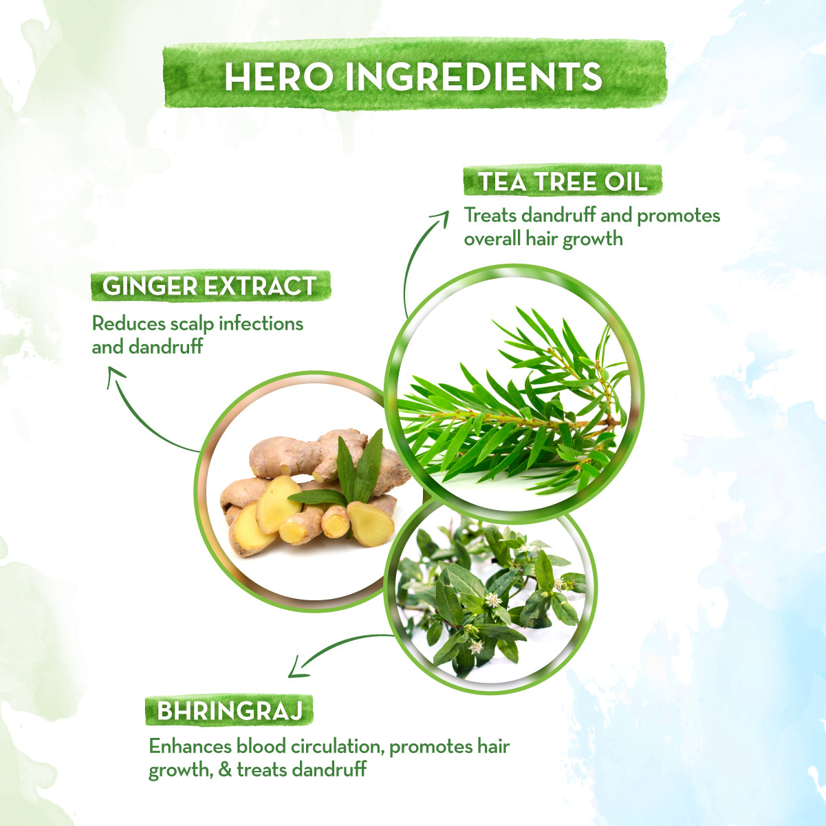 Tea Tree Hair Oil with Bhringraj and Ginger Oil