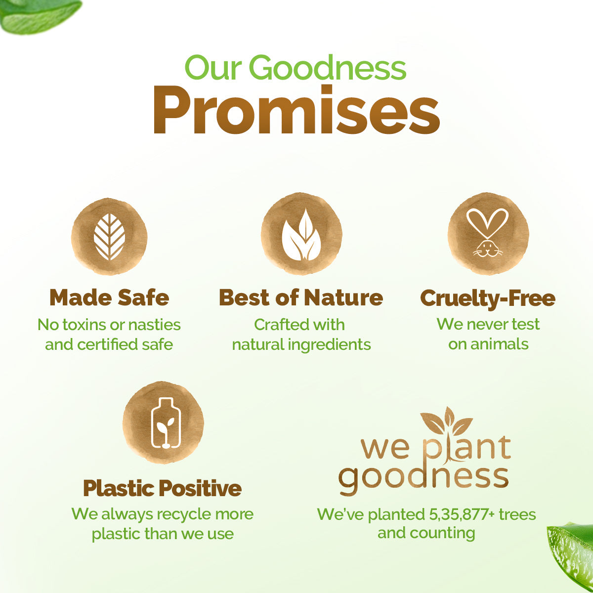 Aloe Vera Moisturizing Body Wash