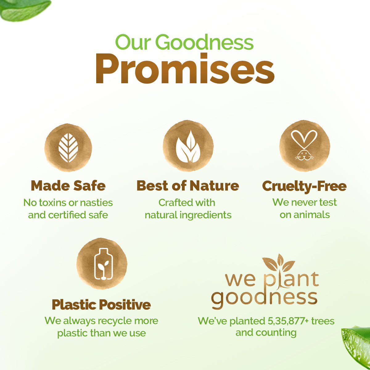 Aloe Vera Moisturizing Body Wash