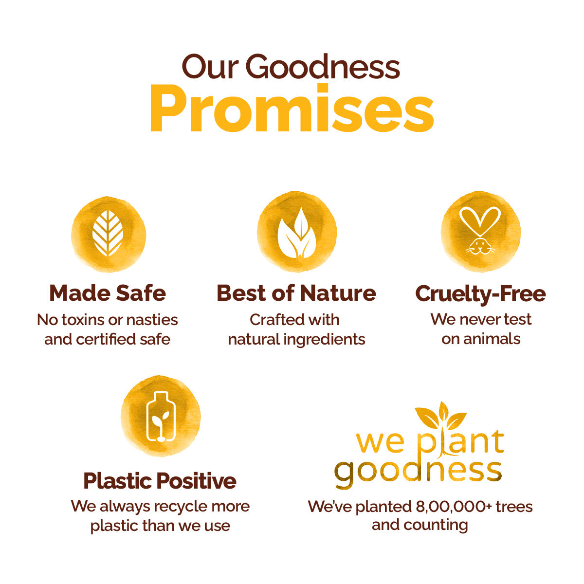 Chia Oil-Free Sunscreen